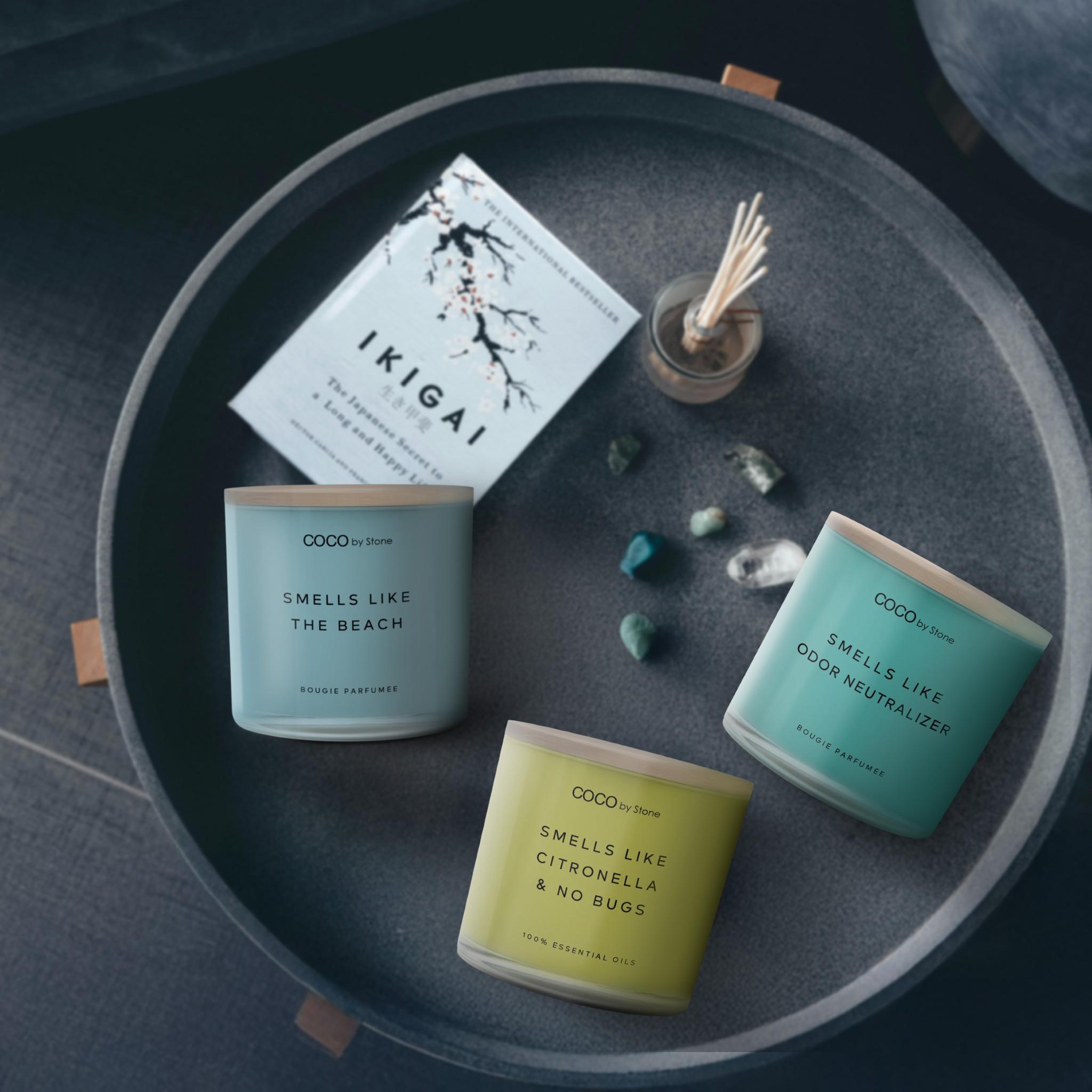 11oz Smells Like Odor Neutralizer Candle