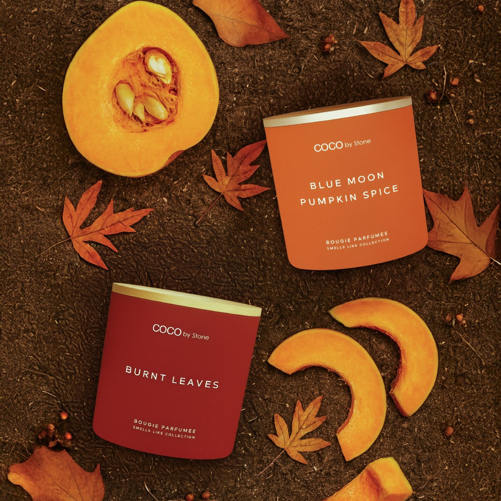 11oz Smells Like Blue Moon Pumpkin Spice Candle