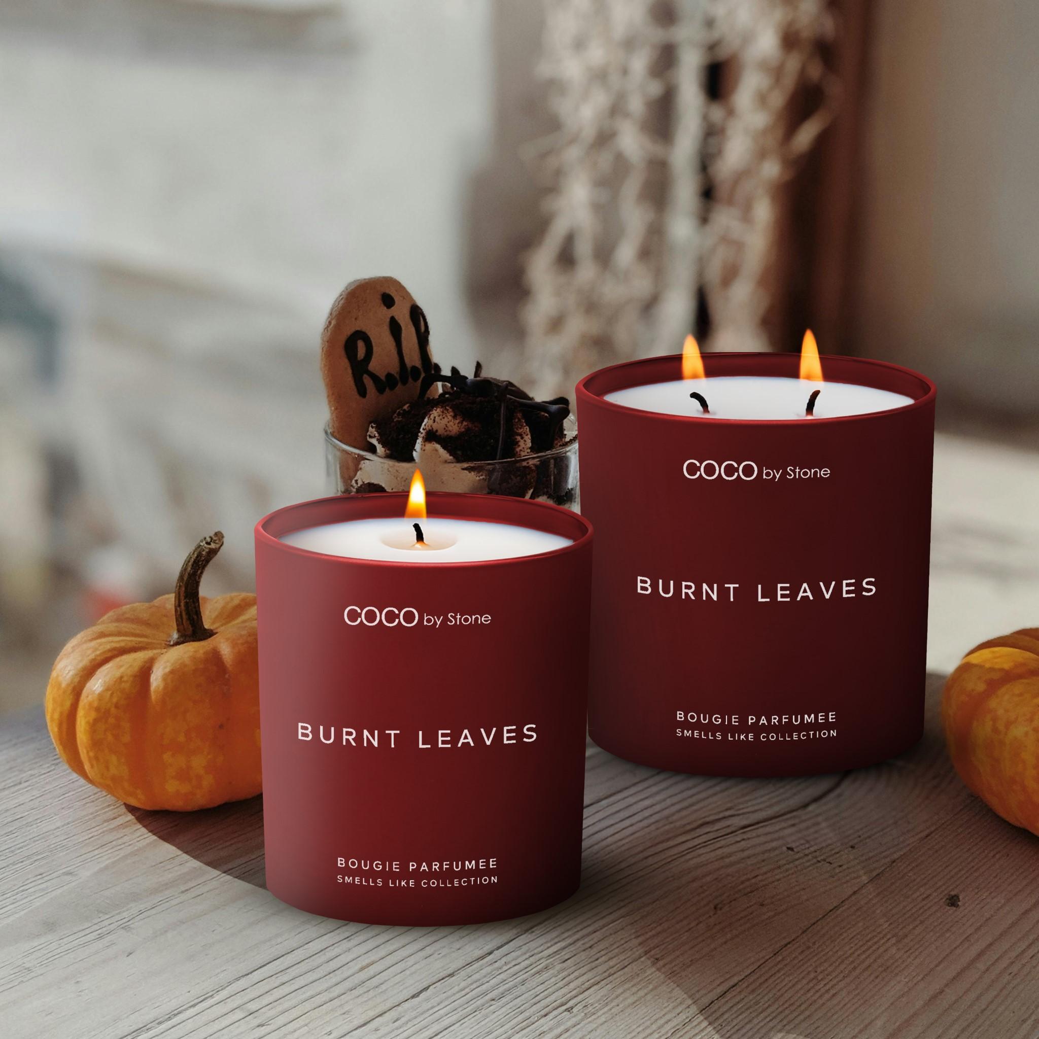 11oz Smells Like Burning Leaves Candle